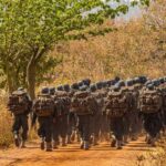 MARCHÉ RÉGIONAL DE GUÈMA: Une ouverture imminente pour booster l’économie dans le Borgou. -NordBenin