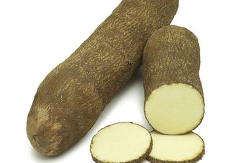 La Fête de l'Igname, célébrée chaque année à la mi-août, principalement à Savalou au Bénin, est bien plus qu'une simple célébration saisonnière. Devenue une véritable fête identitaire, elle rassemble les peuples partageant une même expression culinaire et culturelle, tout en servant de plateforme pour discuter des défis de la commune et trouver des solutions. C'est l'occasion pour le roi de Savalou d'autoriser officiellement la consommation de l'igname fraîchement récoltée.